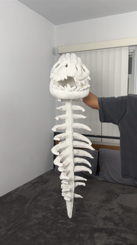 Skeleton Plushie